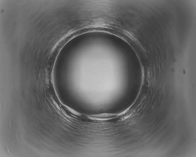 X0000054471356200508011450