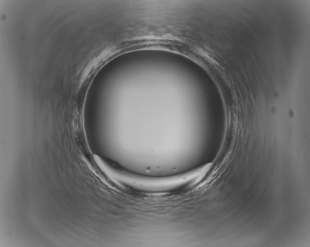 X0000054471357200508011450