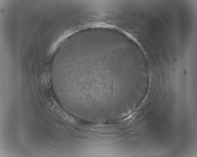 X0000054471359200508011450