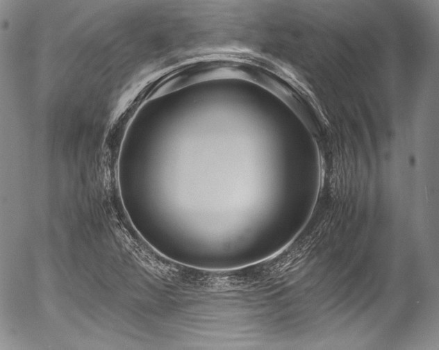 X0000054471360200508011450