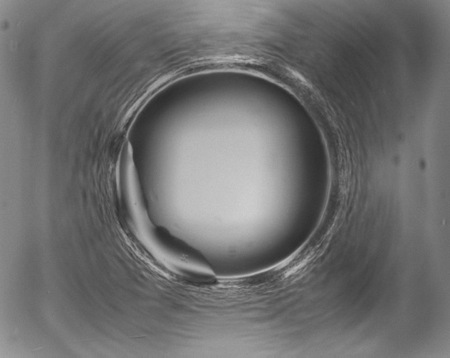 X0000054471361200508011450