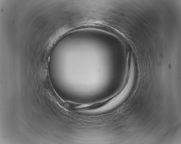 X0000054471363200508011450