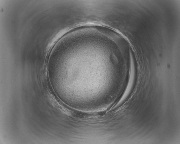 X0000054471367200508011450