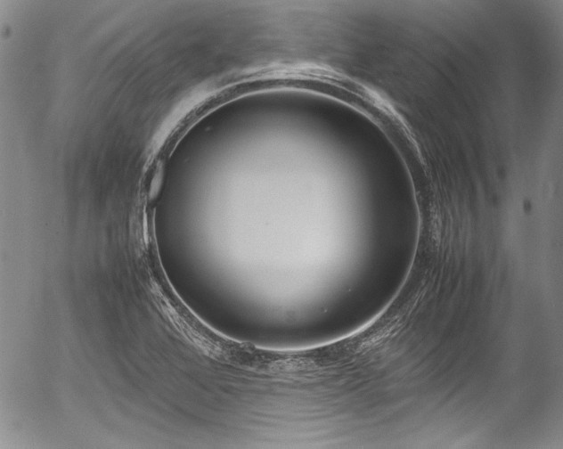 X0000054471368200508011450