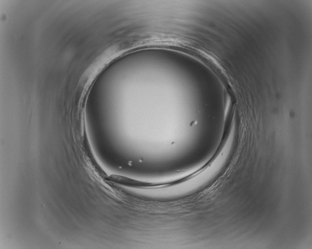 X0000054471371200508011450