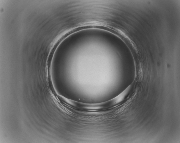 X0000054471372200508011450