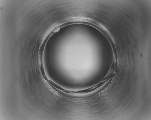 X0000054471376200508011450