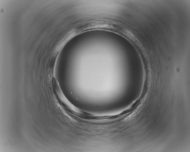X0000054471377200508011449