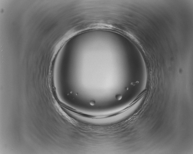 X0000054471379200508011449