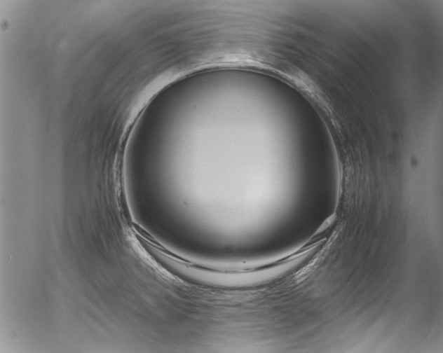 X0000054471382200508011449