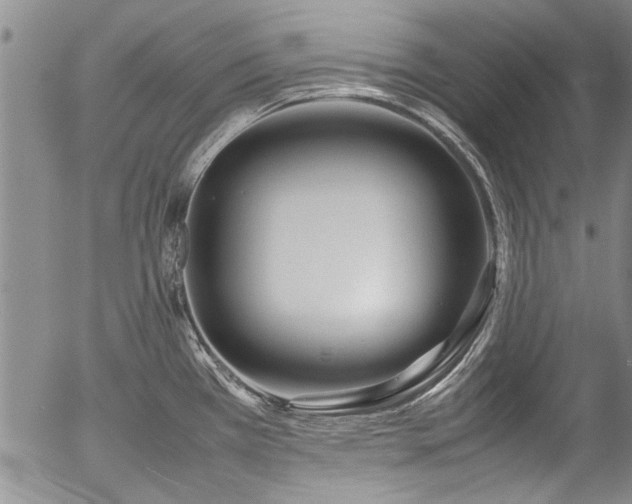 X0000054471385200508011449