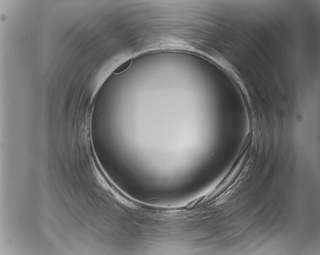 X0000054471390200508011449