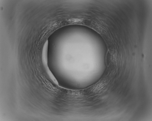 X0000054471393200508011448
