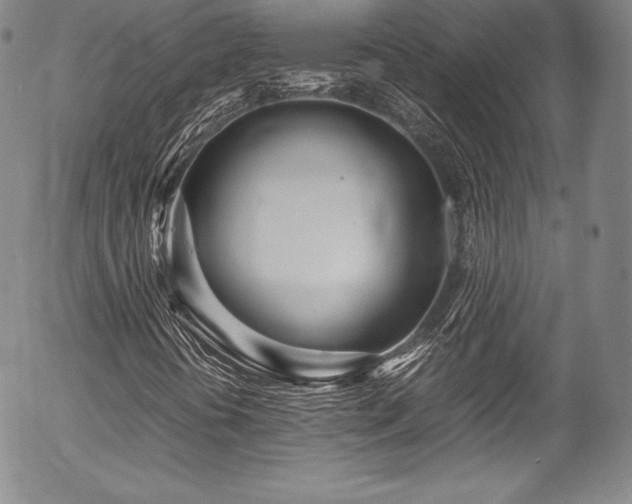 X0000054471394200508011448