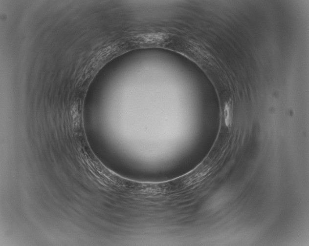 X0000054471395200508011448