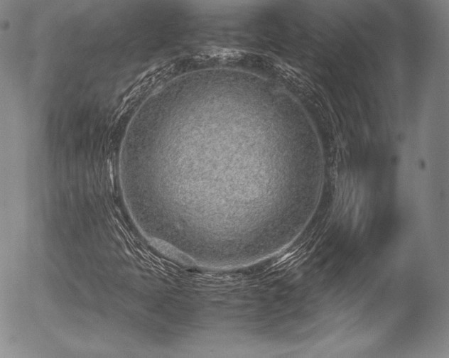 X0000054471397200508011448