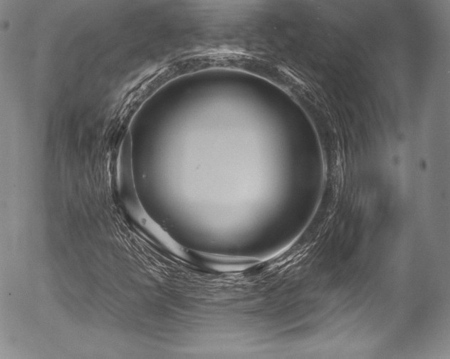 X0000054471398200508011449