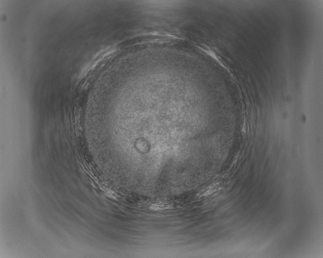 X0000054471399200508011449