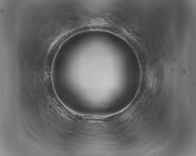 X0000054471400200508011449