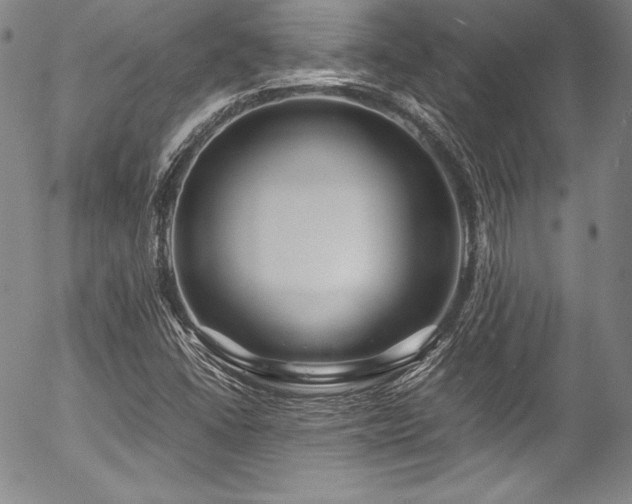 X0000054471406200508011449