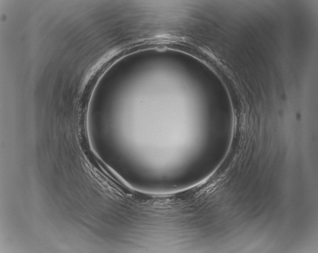 X0000054471410200508011449