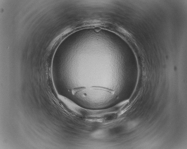 X0000054471411200508011449