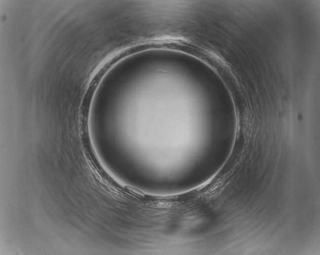 X0000054471412200508011449