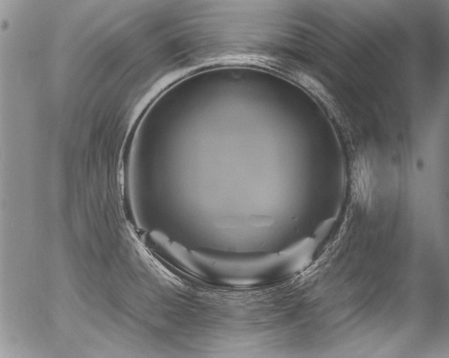 X0000054471428200508011449