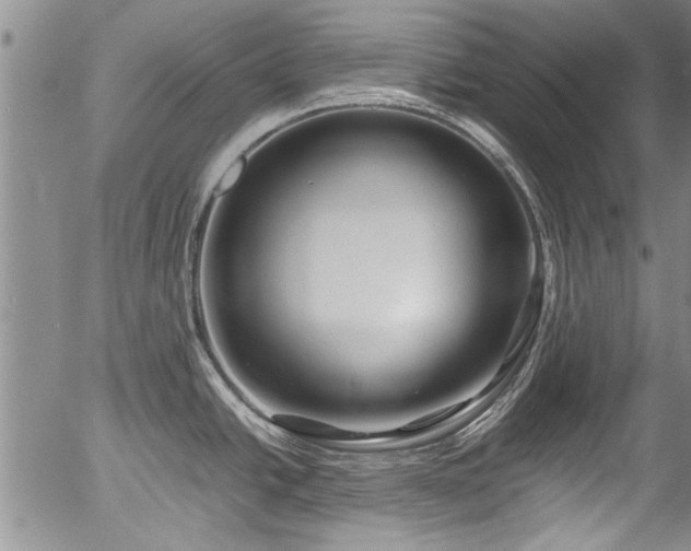 X0000054471438200508011449