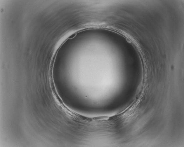 X0000054471440200508011449