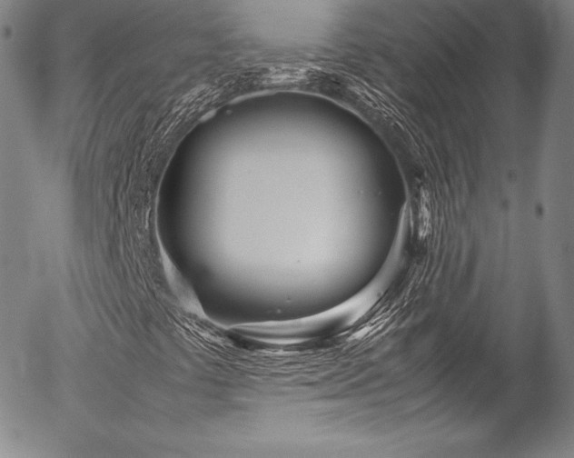 X0000054471441200508011448