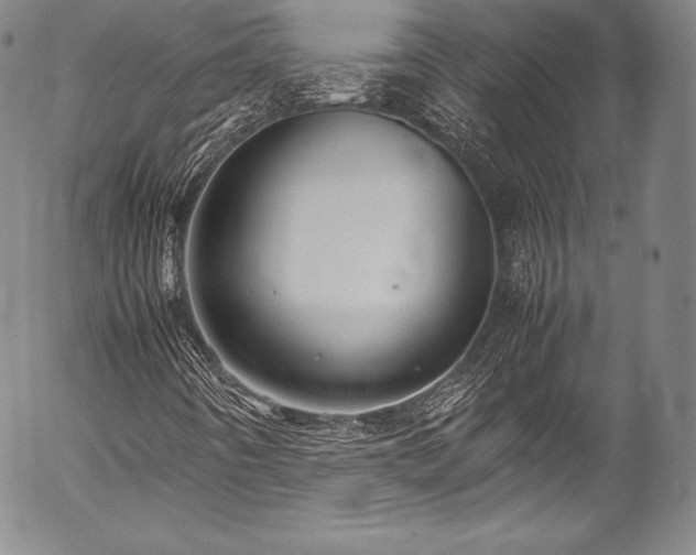 X0000054471442200508011448