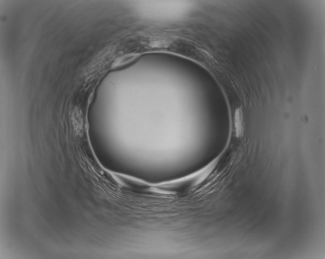 X0000054471443200508011448