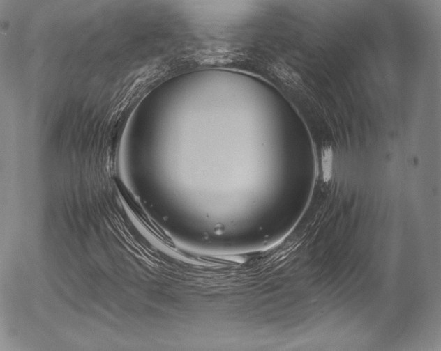 X0000054471444200508011448