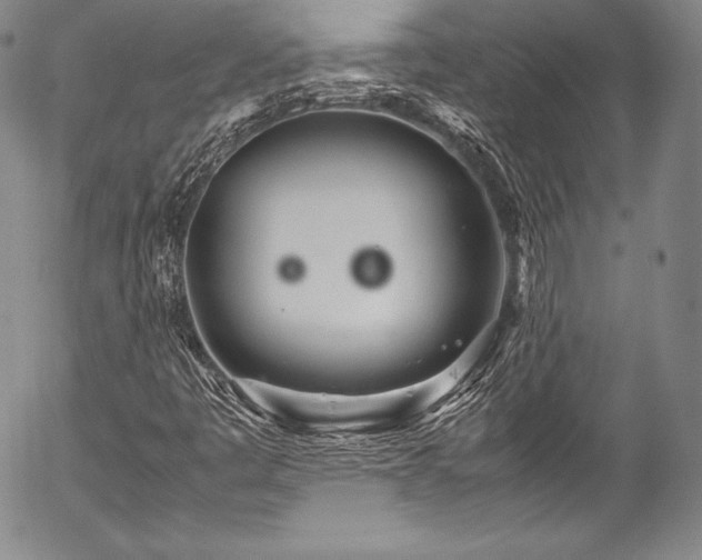 X0000054471445200508011448