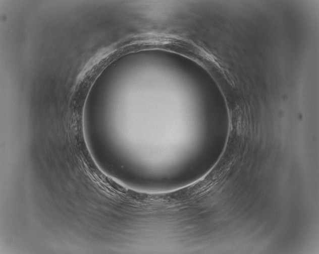 X0000054471448200508011448