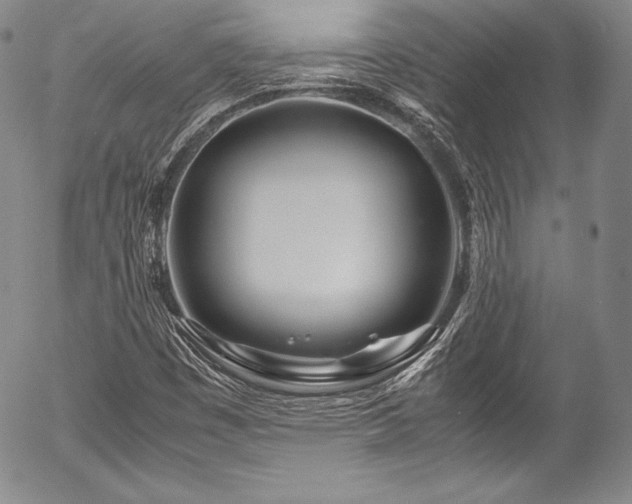 X0000054471449200508011448