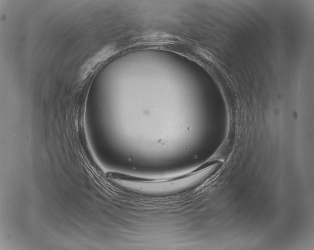 X0000054471451200508011448