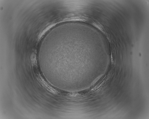 X0000054471452200508011448