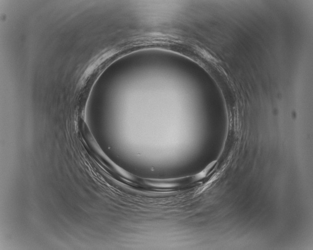 X0000054471453200508011448