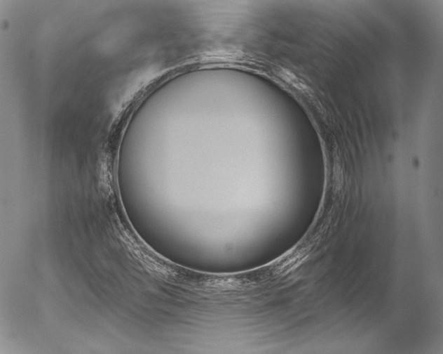 X0000054471454200508011448