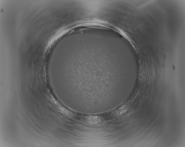 X0000054471456200508011448