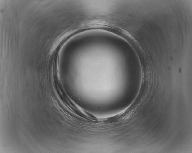 X0000054471461200508011448