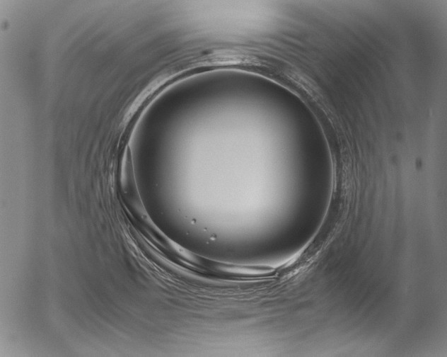 X0000054471465200508011448
