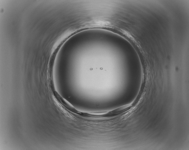 X0000054471469200508011448