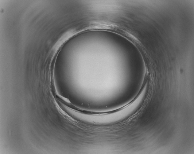 X0000054471471200508011448