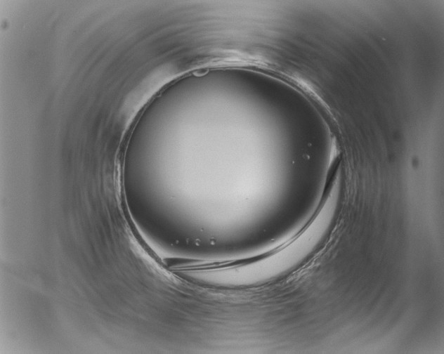 X0000054471476200508011448