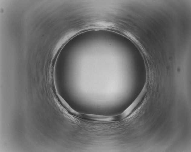 X0000054471477200508011448