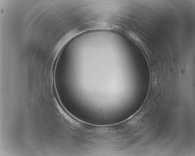 X0000054471479200508011448