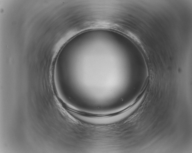 X0000054471480200508011448